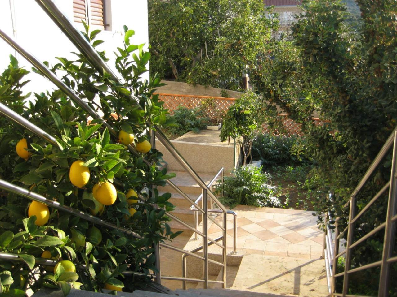 Apartments Martina Примоштен Экстерьер фото